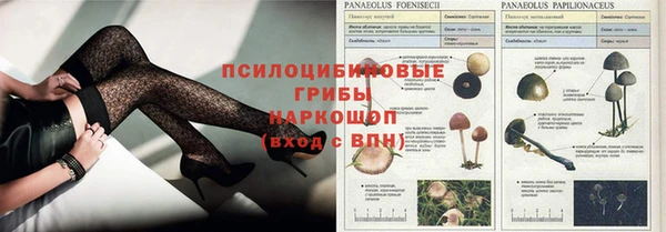 меф Дмитриев