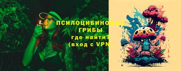 соль ск Гусь-Хрустальный