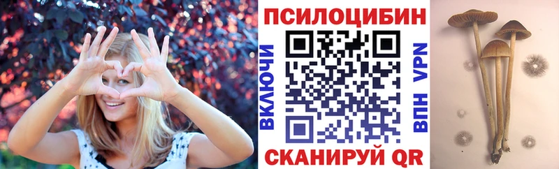 где продают наркотики  Ельня  OMG рабочий сайт  Псилоцибиновые грибы Magic Shrooms 
