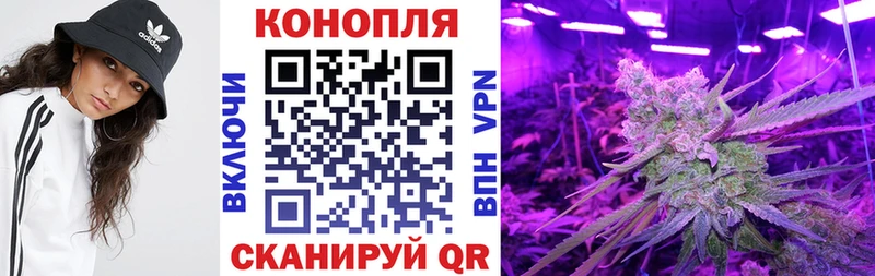 Канабис OG Kush  Ельня 